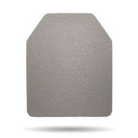 IC3000 ST LEVEL III ICW Plate - front view